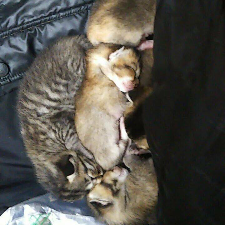 95b1d528 eb41 4ba5 8620 968fe6c26f7c 1558700306359