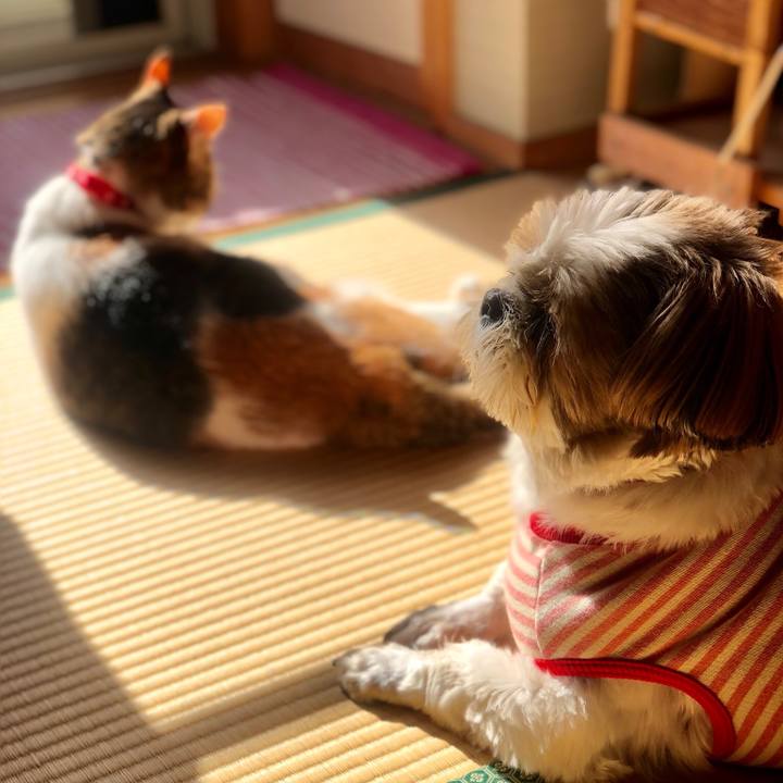 95b1deea 22f0 40d9 8cd7 41bd65c7950b 1540094795928