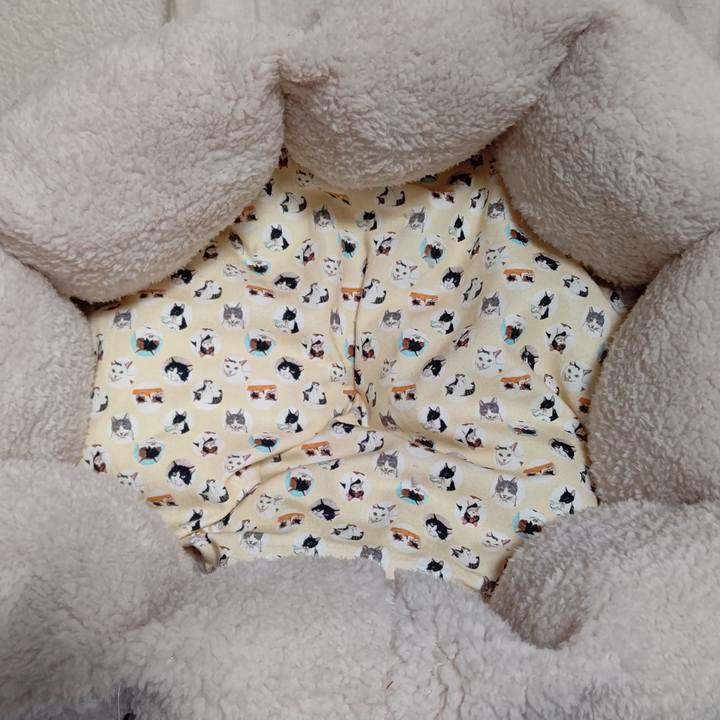 95b1e741 4f6f 4a50 8d93 07941f7fefe2 1638930548530