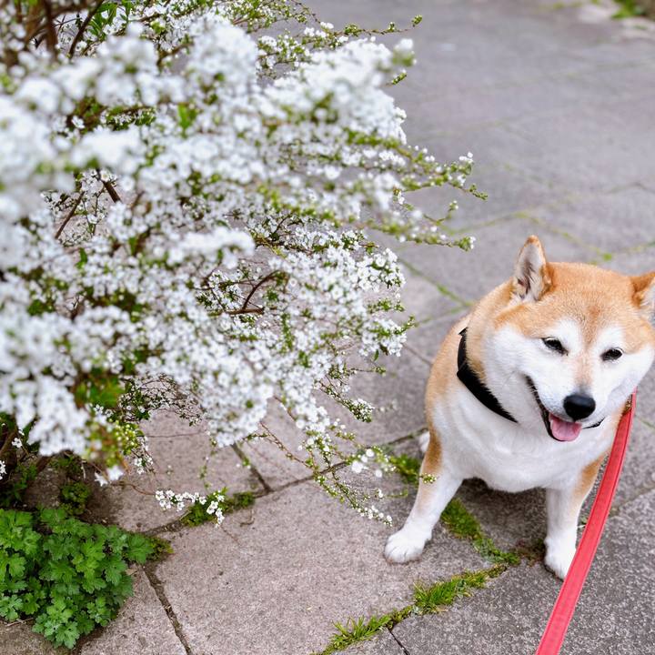 95b1e7db 8111 46c6 b144 49d07c015a3a 1678676602269