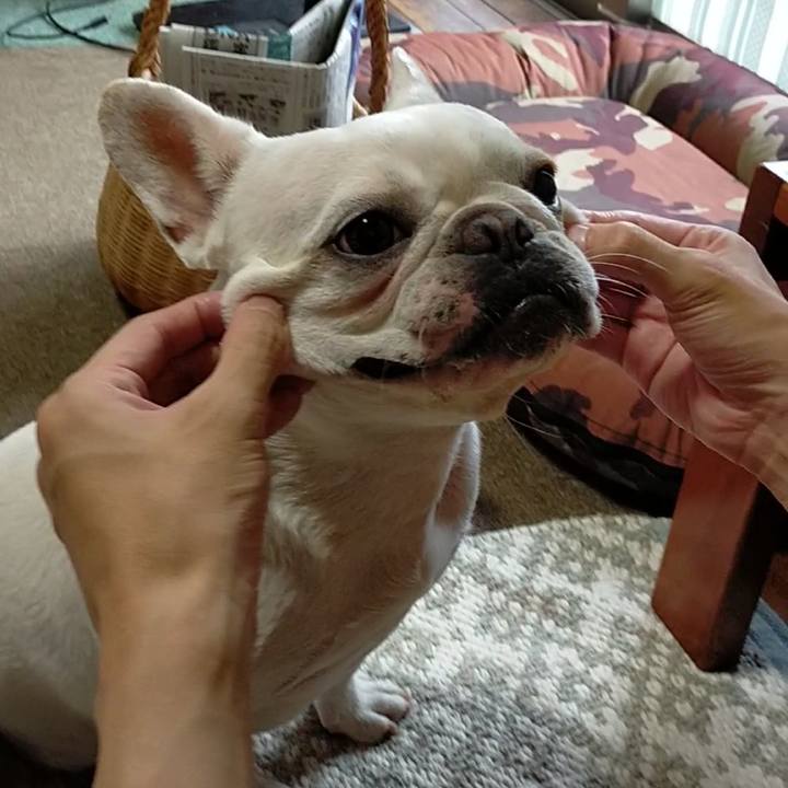 95b1f983 13d0 44d0 8acb 8adb29885450 1658269577756