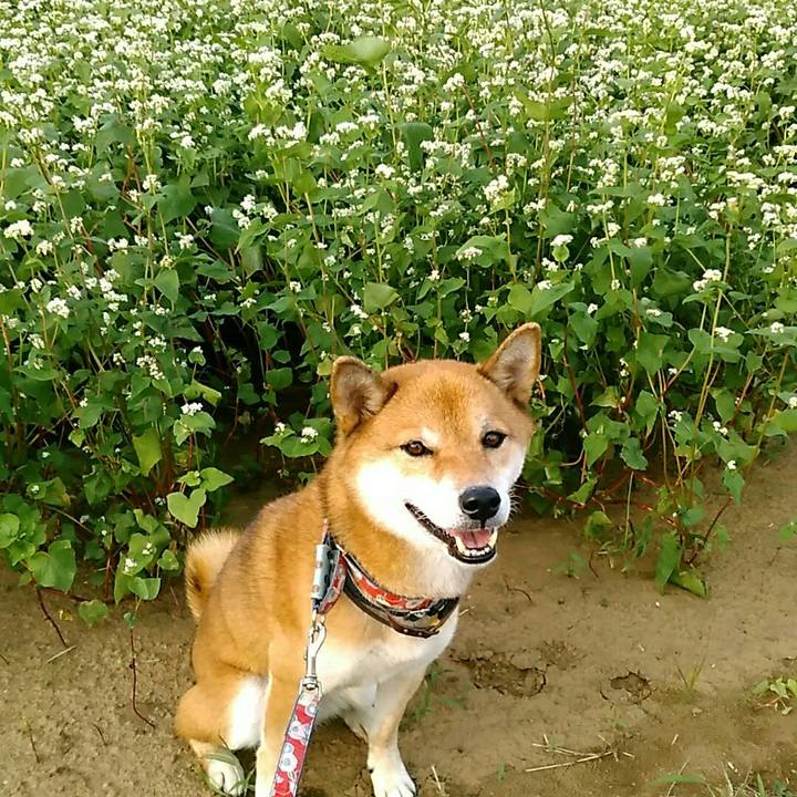 95b21f32 38c7 4a6b bccc 5d0ee15655da 1569569632320