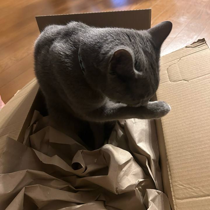 95b26439 c3c0 4662 9a00 dd0484a83b9b 1707441756305