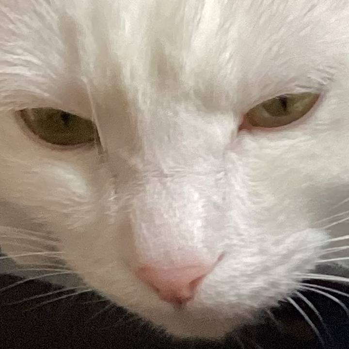 95b26637 561f 4487 994c e0e879b11119 1671230300111