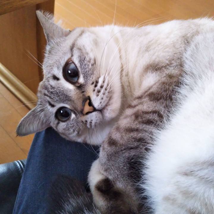 95b2bfd2 2f76 45e1 b99f fc35d3533df2 1541638755576