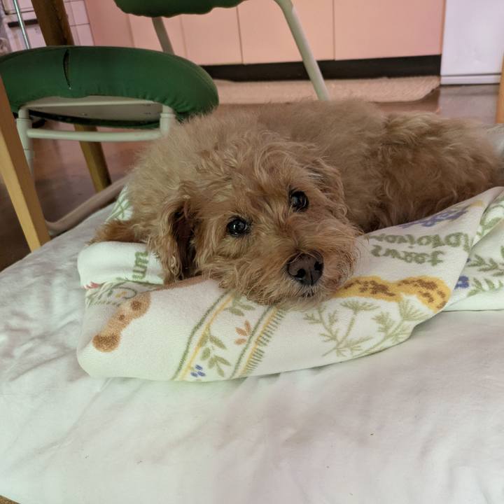 95b2f44f 5d53 494d 8cf1 f1814b7cba6b 1748561358997