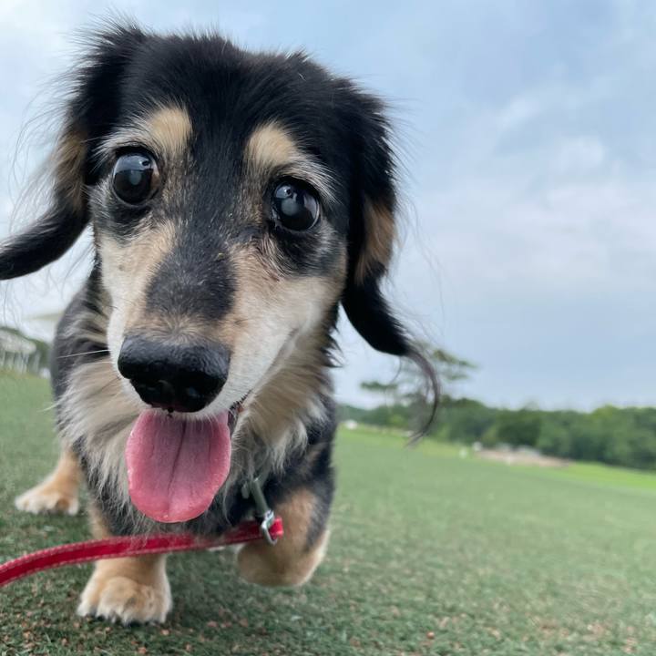 95b313ad 6b4f 4851 98a6 6bbbe5fb10ca 1725353325309