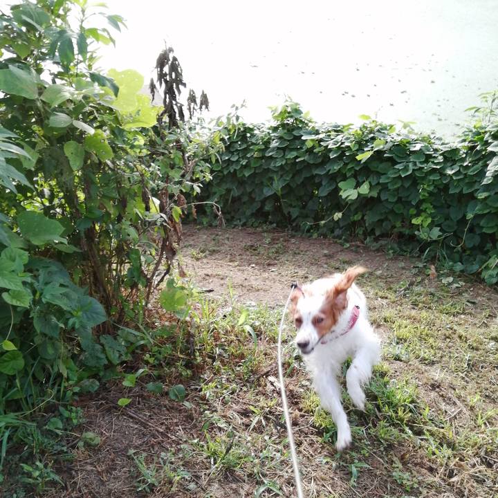 95b34e6c c2b8 44f0 b5ec d2ac23a372cf 1599780649108