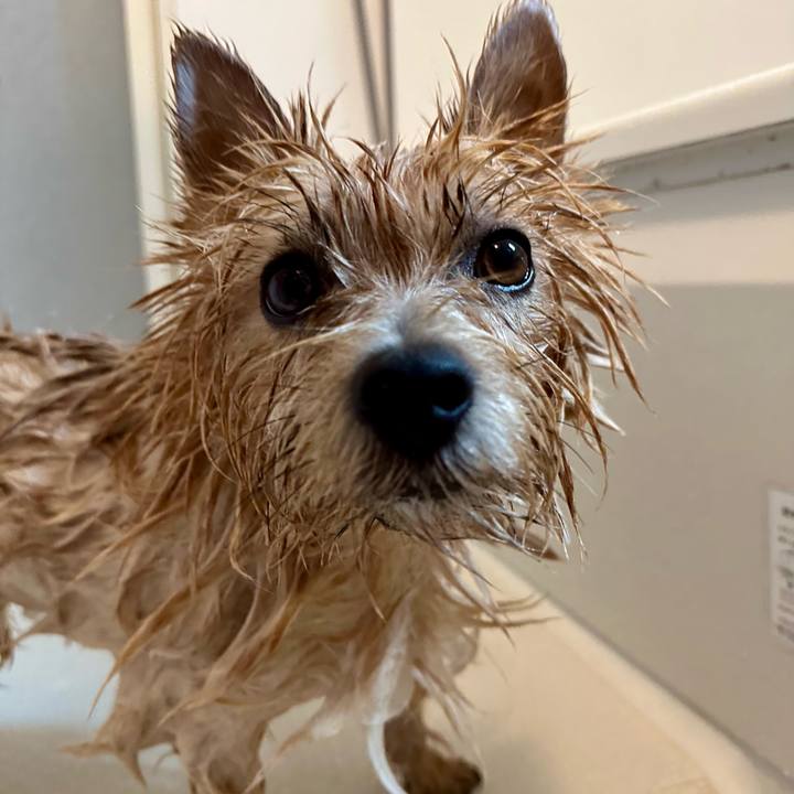 95b3503e e3d9 4284 b883 571ec26dc243 1758343471424