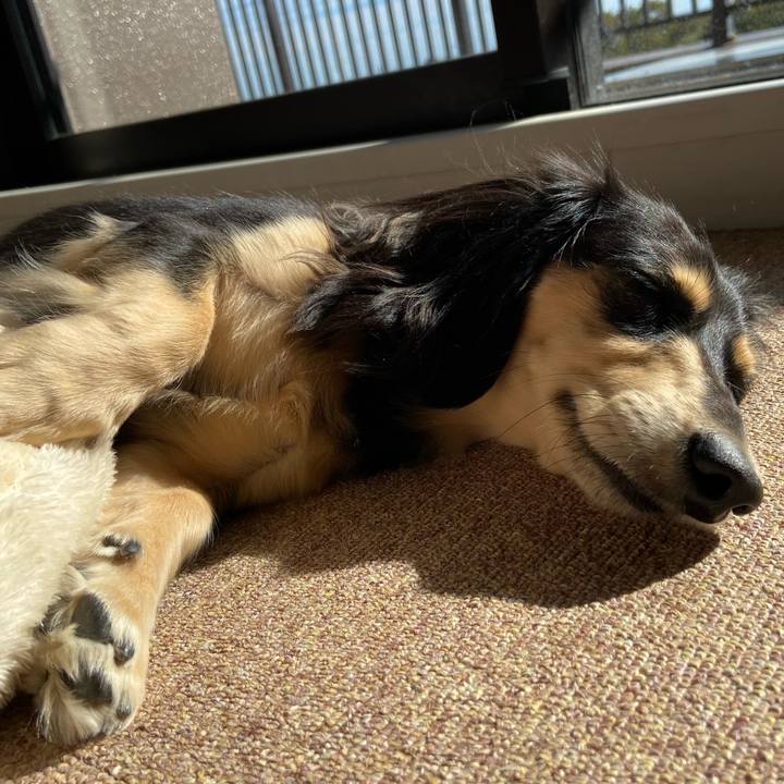 95b3523b b946 46bb 8ed7 2b58bb170c57 1700368182110