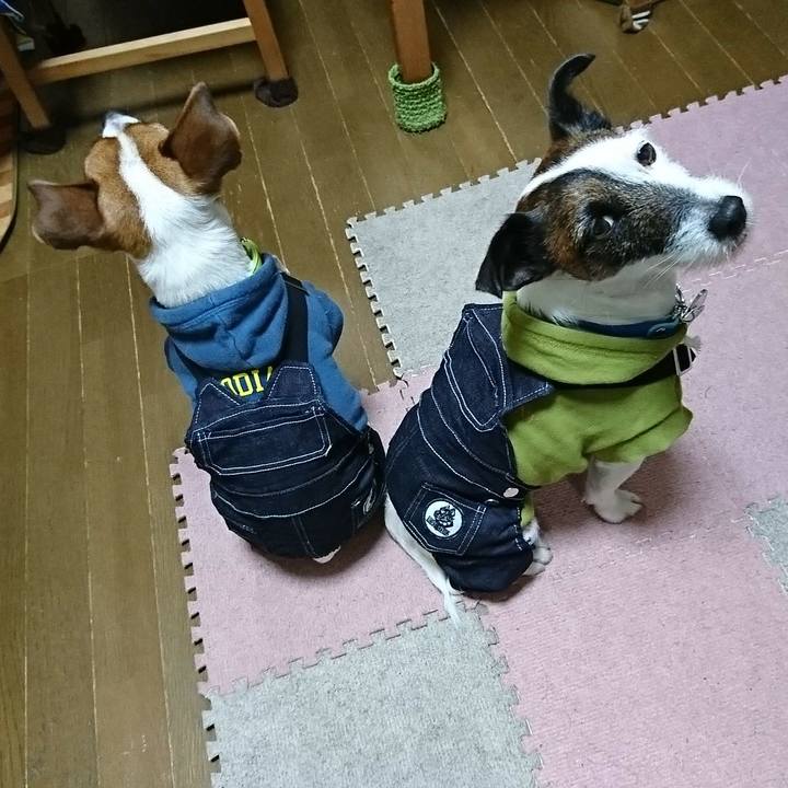 95b3a342 b654 46b7 8494 ec79a423ff52 1548336781855