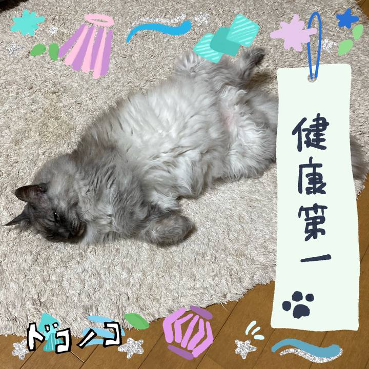 95b3b9af a064 422c a09e f8bf5ab01857 1720850972806