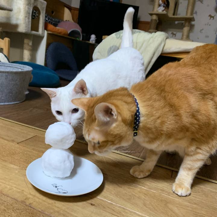 95b3cbaa 7763 4dae bde0 dbee43e855f4 1610027749435