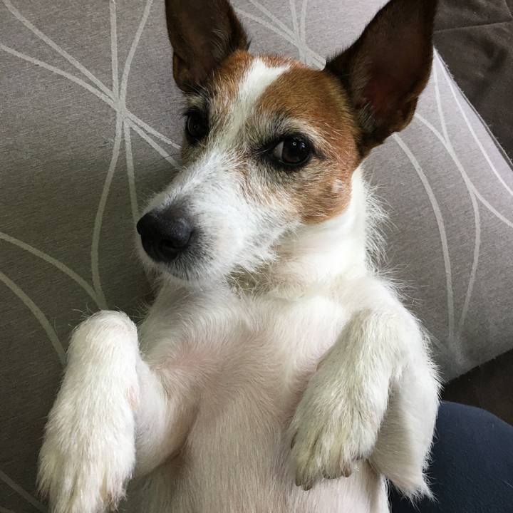 95b3e17f a25e 4aac b949 a6d16616ecd0 1594507431627