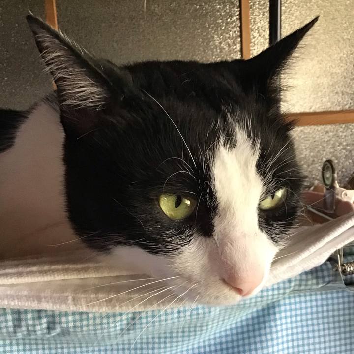 95b410dc 15e5 4e8a 9a0b 4cd7520dad8b 1718085365279