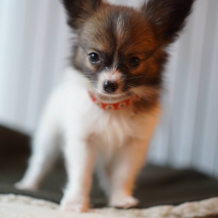 95b43220 9b29 47ba 8178 a6c65cd3177e 1694129092912