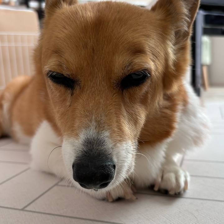 95b44aad 91b2 4747 a6f1 5c34bf47b7ef 1748997084829