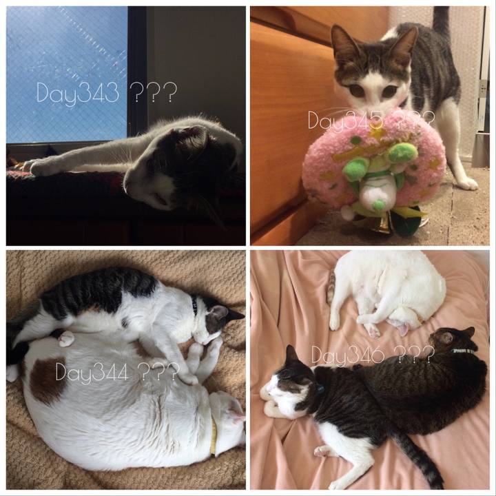 95b44f13 f208 4546 beb9 5fcc6e0954a8 1523796455483