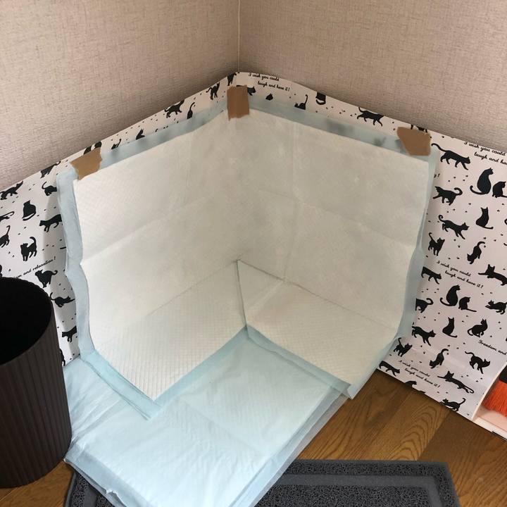 95b4657c 7fb8 4f9c a70c f42f1550bc02 1566613295625