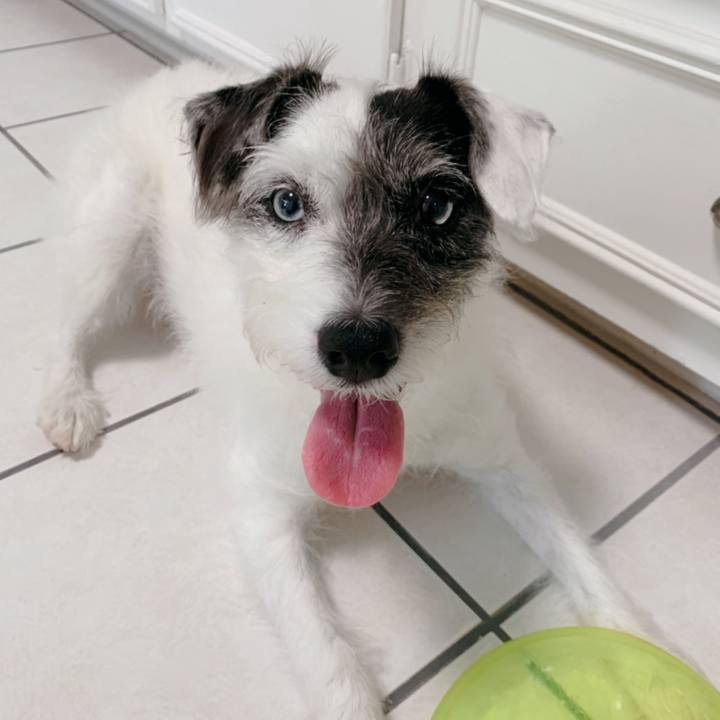 95b467ac 9428 46da aef2 3a2395610292 1618437147019