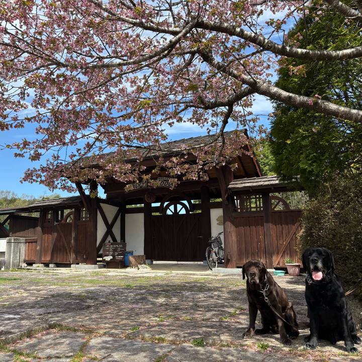 95b46bbb 2d84 4167 8c17 11c84fc85fce 1776260300192