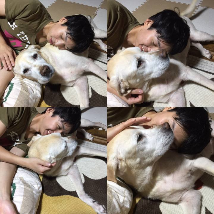 95b48d0d b5fb 4fc3 87d4 cf853eb5a02d 1548685794723