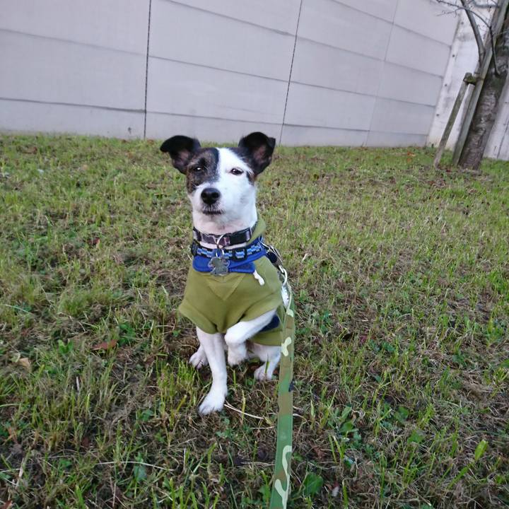 95b4cae5 5a9e 4a1e ab03 6c84e59b5b67 1512597384649