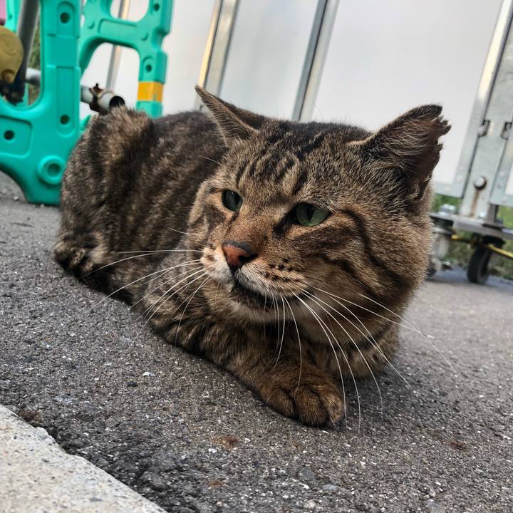 95b4ce8e 95af 47c1 8fb9 efd85fbeb5d0 1570457077868