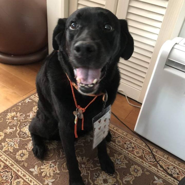 95b4f865 a4bf 4fdf b528 1efc143fa67d 1758833527206