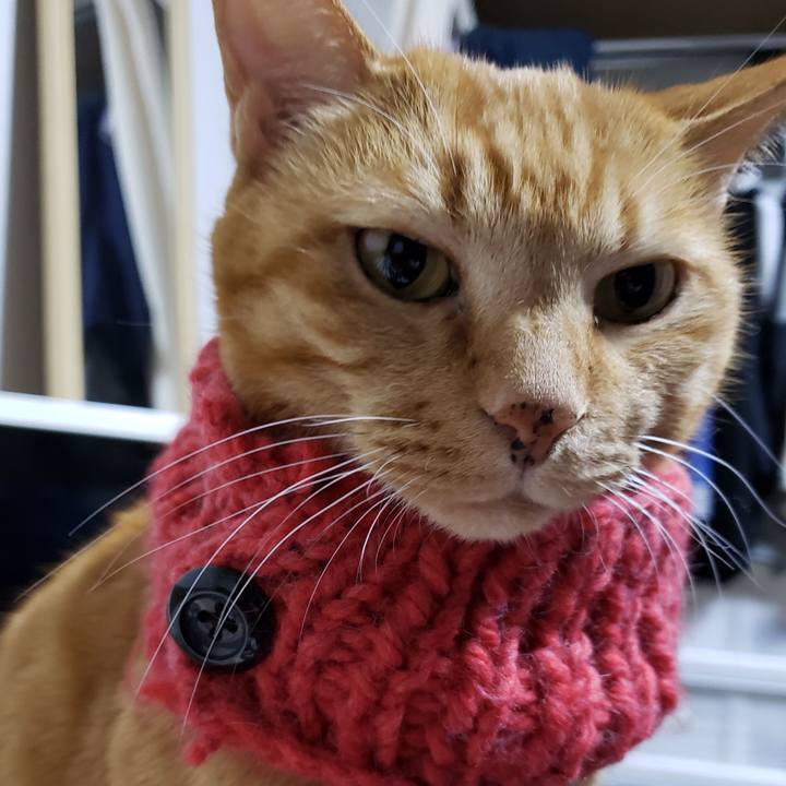 95b59118 e069 4928 b89c 538420544d9c 1733444743267