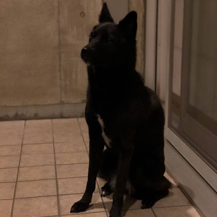 95b5a59c 97a5 4813 a810 f524af71862e 1569169012255