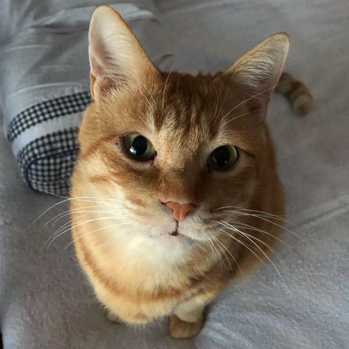 95b5e761 3ac6 4cc0 a568 e3701f25c060 1605047977222