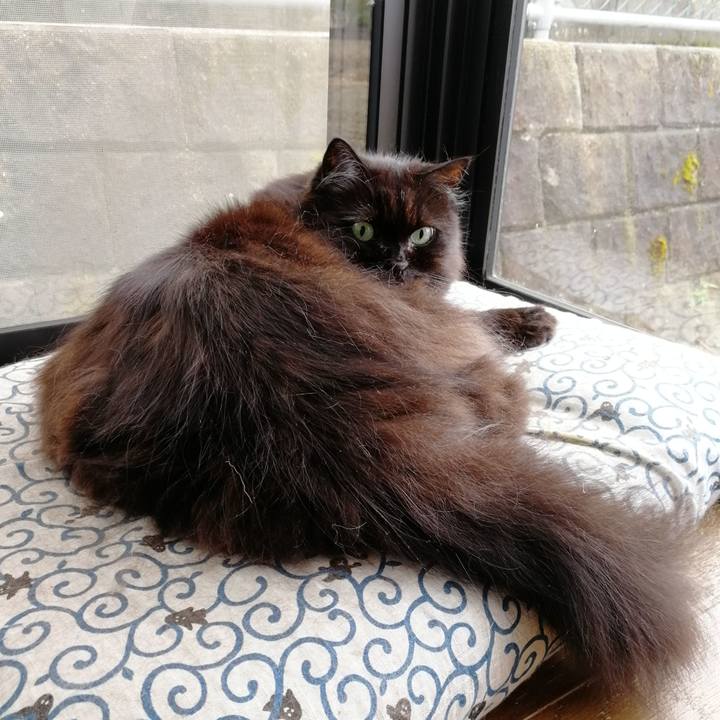 95b5f1bb 031d 4520 9058 7201b7eb453b 1538891296510