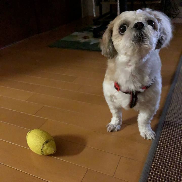 95b5fe62 e3e5 4a21 bd1a bd04284dcce6 1569717638414