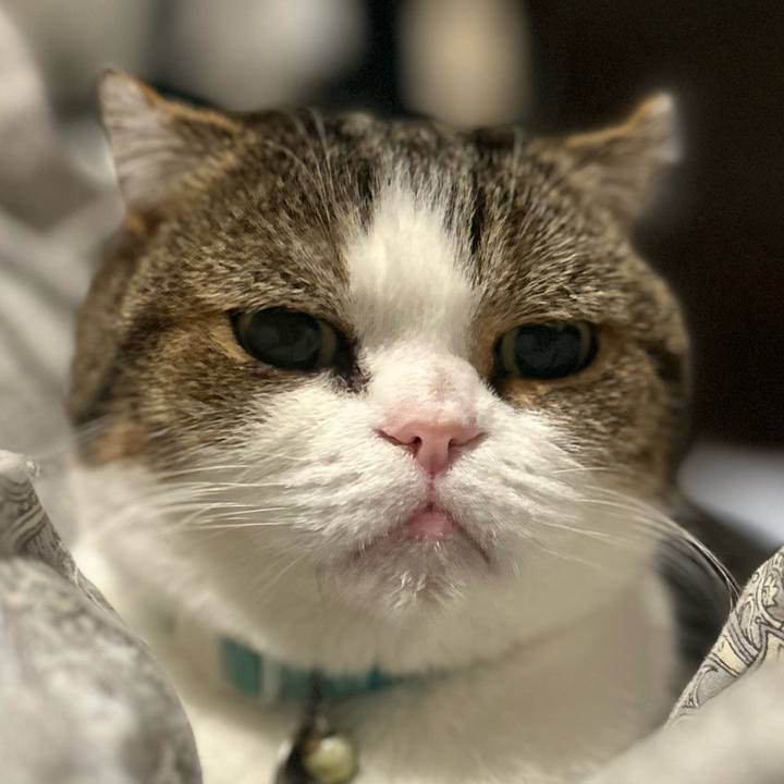 95b6121c 0d45 46c2 8c57 0bb9262a7a91 1760564723429