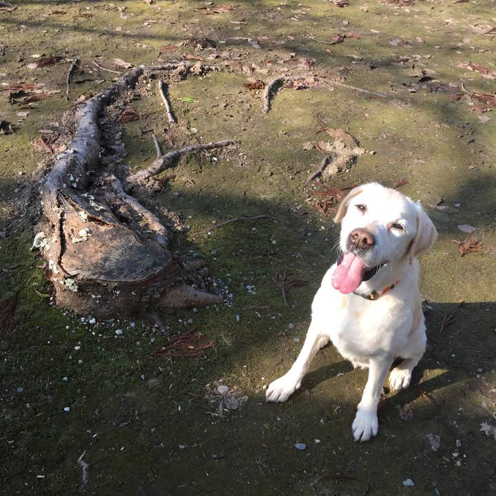 95b63168 b894 4aff b0c3 512367de1eef 1522133214231