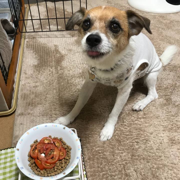 95b6555d 22c6 42ac b1cb bce756e94460 1530350205159