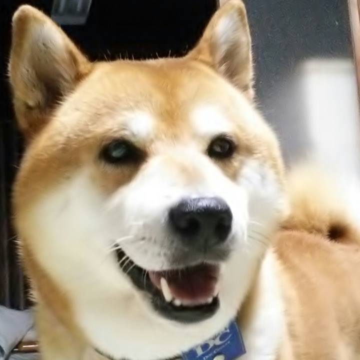 95b65e8e bd7b 4758 a6f5 870a74ee706f 1533597094439