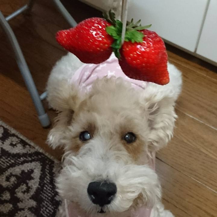 95b67b86 a7b2 4b67 ad5d 59c76f1f7689 1519306366183