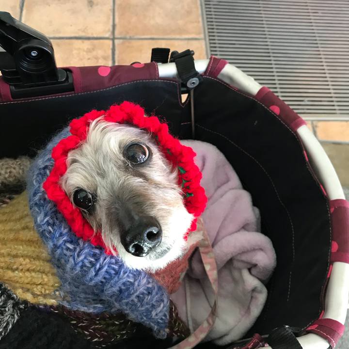 95b67bac 762c 4a65 a0d5 43245136dc46 1512784529910