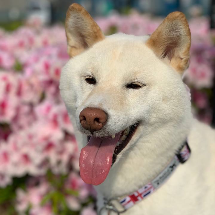 95b6a753 a2ea 41a5 8043 3f16ff3bcafb 1557101519578