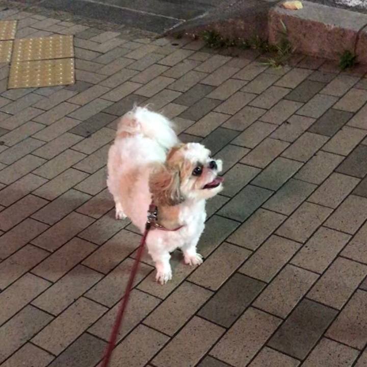 95b6ae49 62f4 4403 b130 463b8b9d7cd3 1535492487799