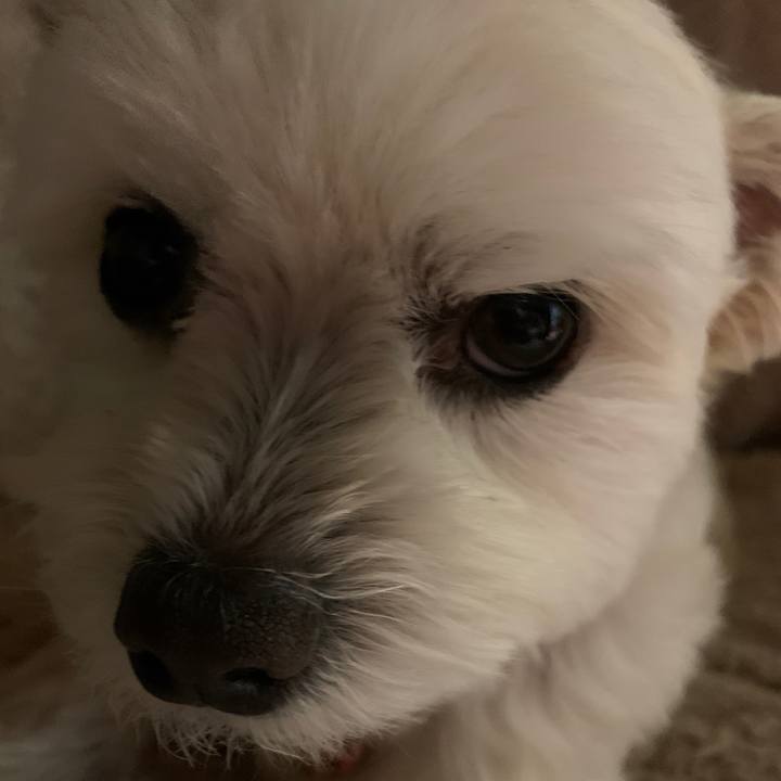 95b70704 aa21 4fda 9a95 f22f46758240 1615032885770