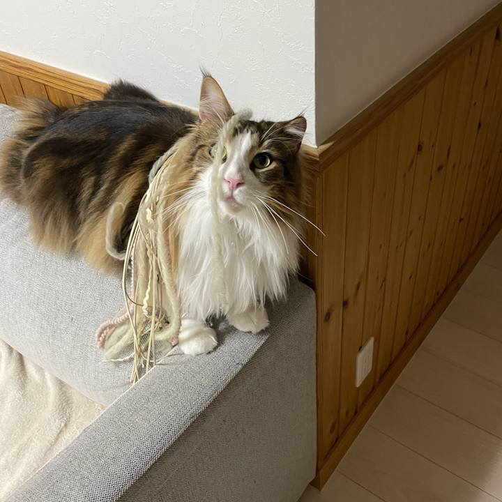 95b73aac 0cf9 4b8d a6a8 a7fece9622a9 1679688574627