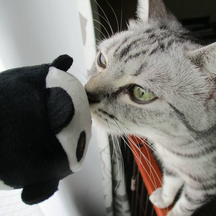 95b73d84 a48f 4a6b 959b 022c7b078df1 1559350527293