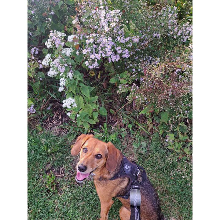 95b74564 2eff 4171 9ddf dad042c6016c 1758661268349