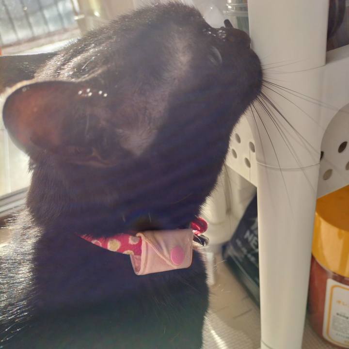 95b753f7 455a 4178 8545 7ccdbd5939de 1649111558997