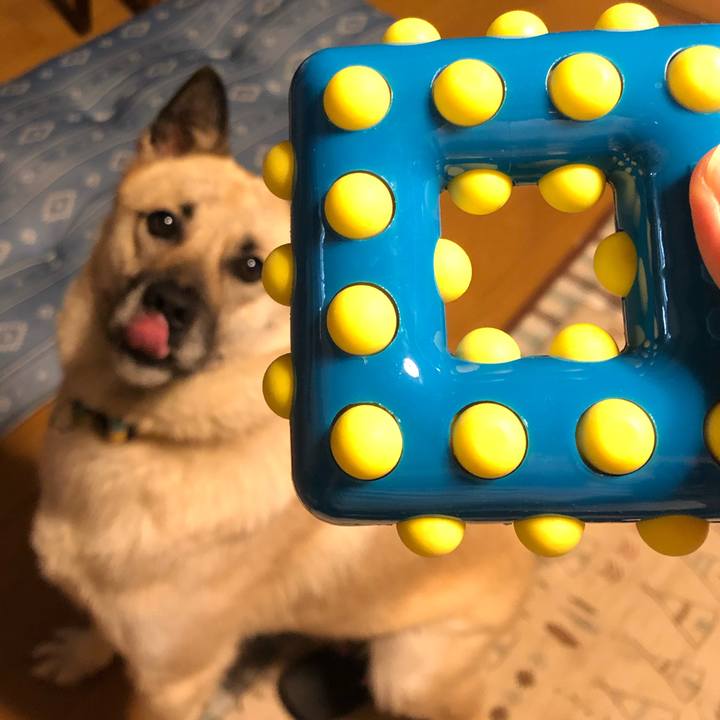 95b75b04 ef95 47c4 8a07 93900e93f76d 1561812619020