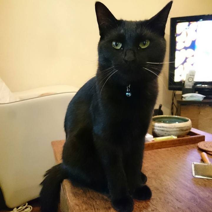 95b7607a d22f 4080 a280 5b015114332c 1512567428983