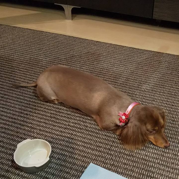 95b7634f 8faf 412d 9007 e9a15a55e8ae 1595602533376